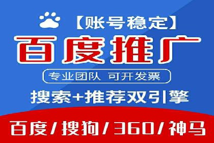 成功SEM代理案例：精准投放的策略